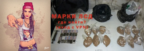 гашик Алексин