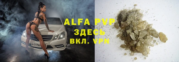 индика Алексеевка