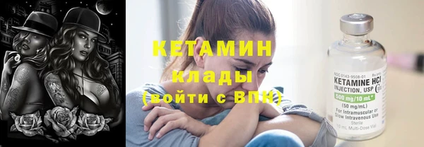 гашик Алексин