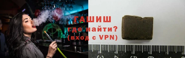 гашик Алексин