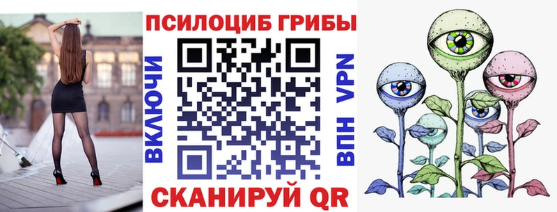 Псилоцибиновые грибы прущие грибы  Купить где  Дорогобуж 